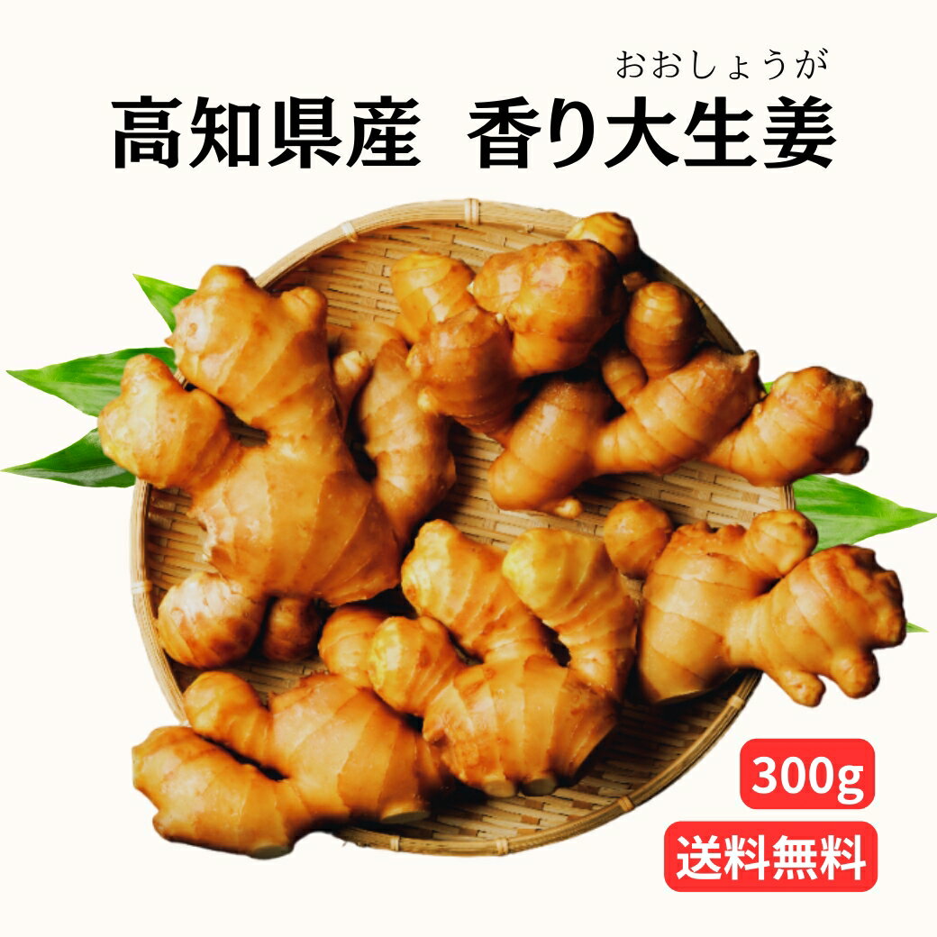楽天市場】生姜（総重量（野菜）300 ～ 499g）（野菜・きのこ｜食品