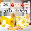 \2種類から選べる/ 生姜パウダー or ファイバー セット 送料無料 ジンジャーパウダー 無添加 無着色 乾燥しょうが 高知県産 生姜 粉末 食物繊維 クラフ...