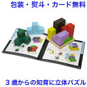 知育玩具 3歳 賢人パズル 木のおもちゃ 木製玩具 ブロック 知育 おもちゃ 子ども 男の子 女の子 エドインター