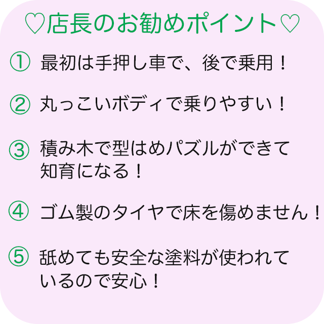 エドインター のっておして すくすくウォーカー 手押し車 赤ちゃん 知育玩具 1歳 木製 型はめパズル 室内 乗り物 乗用玩具 足けり 木のおもちゃ 車 乗る 型はめ 1歳半 1.5歳 2歳 つかまり立ち 名前入り 出産祝い 名入れ おもちゃ Ed.Inter