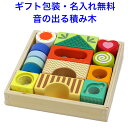音の出る積み木 エクスプロレイションブロックス 知育玩具 1歳半 1.5歳 木のおもちゃ 名入れおもちゃ 名前入り つみき 積木 音の出るおもちゃ 木製 男の子 女の子 子供 音のなる 音が出る 音が鳴る 音の鳴る