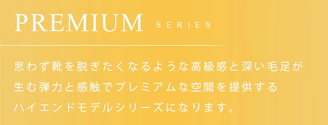 【39ショップ買い回り中はP5倍＆クーポン配布】ムーヴキャンバス サイドステップマット PMマット LA800S LA810S 純正 TYPE DAIHATSU MOVE canbus カーマット 内装 カスタム 専用 パーツ アクセサリー ムーブキャンバス