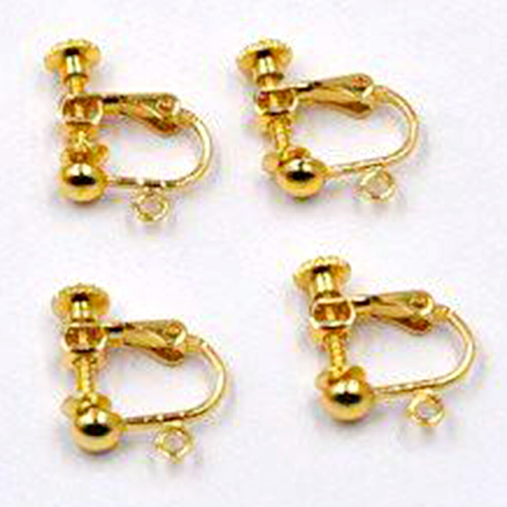 �ǰ���ĩ���桪�����󥰴��åѡ��ĥ����󥰥С�������� 4mm�̥����ա�20���ۥ������