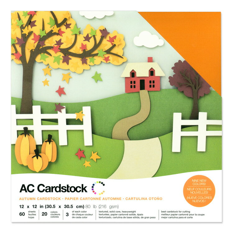 American Crafts カードストック バラエティーパック テクスチャード [オータム] 各色3枚 計60枚入 / American Crafts Cardstock Variety Pack 12" × 12" Textured Autumn 60 piece