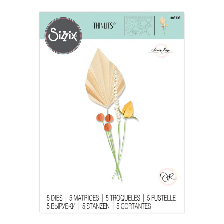 Sizzix シジックス シンリッツ ダイ セット [オーナメンタル ステムズ] / Thinlits Die Set 5PK Ornamental Stems by Olivia Rose