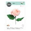 Sizzix å å  å [ǥ] / Thinlits Die Set 7PK Garden Rose by Jess Slack