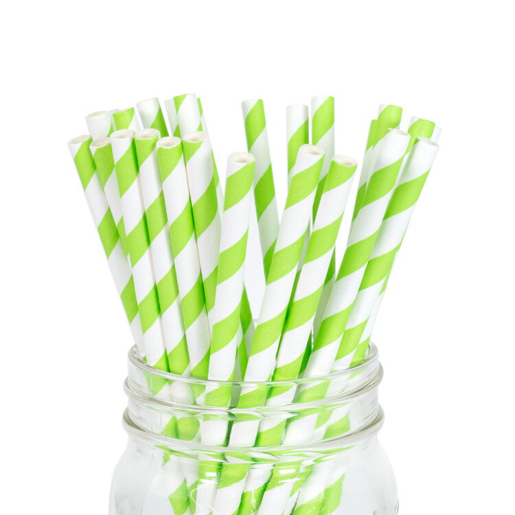 ペーパーストロー 紙ストロー  25本入 / Paper Straws Kiwi Stripe 25pcs