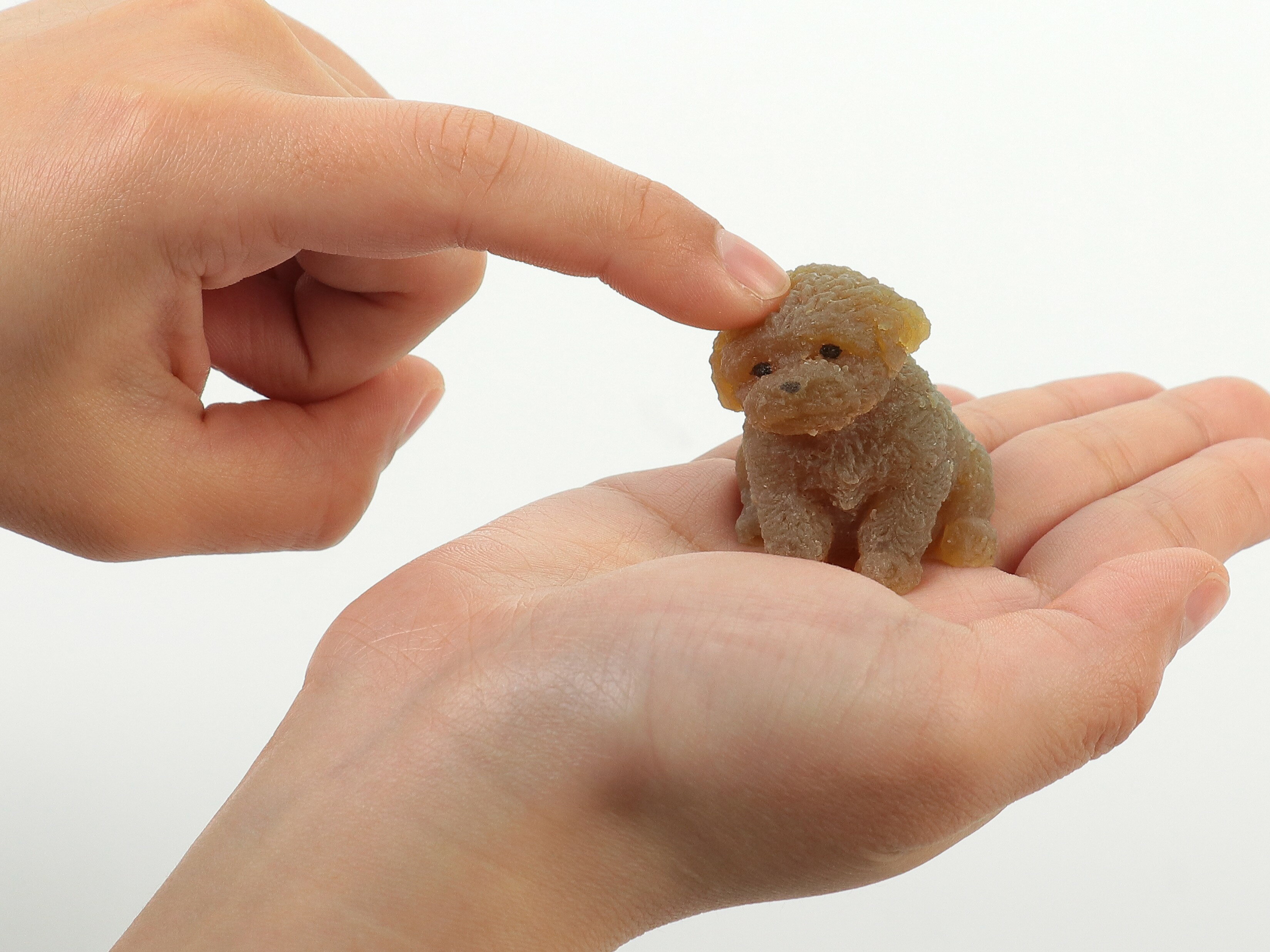スクイーズ 犬 工作キット 夏休み 小学生 自由工作 スクイーズキット プードル 手作り いぬ 工作 女の子 女の子向け 男の子 かわいい　工作 スクイーズ キット アーテック 可愛い 中学生 子供 こども MeiZI. 大人 お家 かんたん 冬休み ハンドメイド craftoy2-10000322 子ども向け手作り工作 クラフトイ サンプル画像3