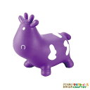 バランス 乗用 バルーン トイ 玩具 遊具 子供 知育玩具 室内 運動 玩具 外遊び 子供 家庭用 フィットネス 誕生日 おもちゃ キッズ 子ども 学生 女の子...