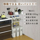 楽天川口工器オンライン 楽天市場店総耐荷重100kg 頑丈 キッチンラック スリム 棚2 【 幅 60 】 丈夫 （キャスター付き 固定 移動 整理 マルチラック 調理台 コンパクト 押入れ クローゼット棚 丈夫 2段 ストック 川口工器 送料無料）セール 値引き 特価 off