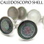 BASIC5000꡼ ٤3 CALEIDOSCOPIO SHELL CUFFLINKS 쥤ɥԥ륫եڥեܥ󡡥ե󥯥ۡĳ ĳ 