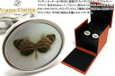 SIMON CARTER サイモンカーター BOTANICAL OVAL BUTTERFLY CUFFLINKS ボタニカルオーバルカフス（蝶）【カフスボタン　カフリンクス】 ..