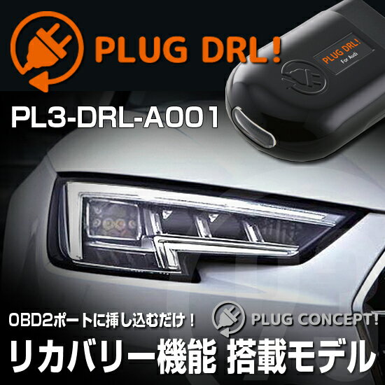 アウディ A4 B9 グレーラベルカーボン 穴あきブラックステッチ アウディ A4 B9 グレーラベルカーボン 穴あきブラックステッチ