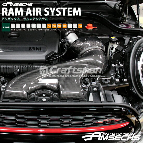 AMSECHS(アムゼックス) RAM AIR SYSTEM for MINI Cooper-S / JCW用 F54/F55/F56/F57/F60