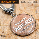 迷子札 名札 チャーム 【送料無料】 迷子 脱走対策 ネームタグ アクセサリー 犬 ペット 首輪 ネームプレート 首輪 ハーネス 名入れ タグ スチール製 軽量...