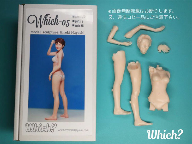 1/12 Which-05【Which which-05】