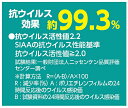 タピオカスライムねんど　茶【アーテック ARTEC 知育玩具 工作 安心安全素材 日本製 粘土 自然乾燥 023290】 3