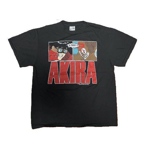 aki1-0.jpg