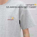 カーハート Tシャツ メンズ 【送料無料】半袖 Tシャツ カットソー クルーネック Carhartt WIP カーハート ショートスリーブ アメリカンスクリプト ロゴ I029956 ホワイト ブラック グレー ナチュラル オーガニック100%コットン メンズ レディース 贈り物 プレゼント