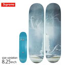 【スノー用品最大50％OFF★クリアランスSALE開催中♪】SUPREME FUCK SKATEBOARD 8.25inch シュプリーム デッキ メンズ スケボー 2本組