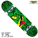 ANTIHERO GRIMPLE FULL FACE COMPLETES MD 7.75 inch Skateboard アンチヒーロー アンタイヒーロー コンプリート デッキ スケボー スケートボード COMPLETE