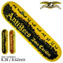 【5の付く日限定★11%OFFクーポン配布中!!】ANTIHERO CARDIEL PIGEON MTN RANEY PIGEON MTN 8.38inch 8...