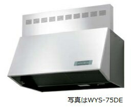 【WYS-60DE】幅60cm H=30cm幕板付(全高70cm用) 同時給排 渡辺製作所製レンジフード ※沖縄、離島への販売は不可