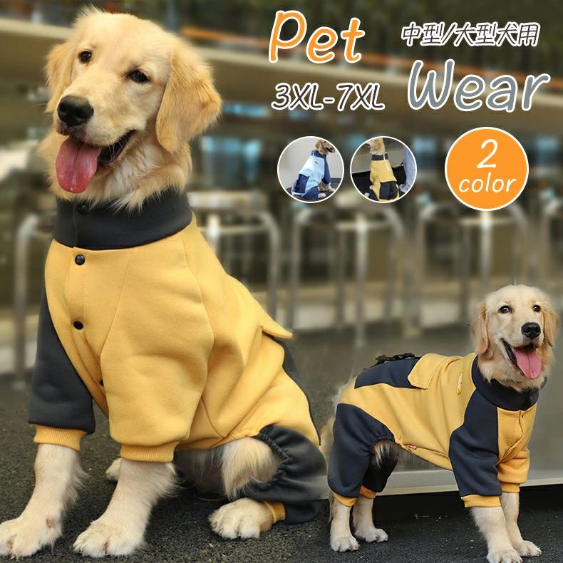 �ѡ� ����ѡ��� �������������� �緿�� ����̵���ɥå�������