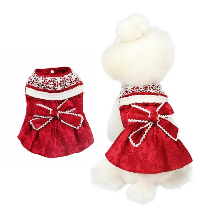 ���� �ե�� �� �������� �� ���� ���� �� ����� ���� �� ��