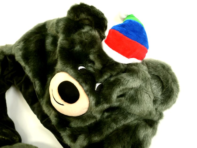 THE NORTH FACE ノースフェイス BANDABI FUR CAP/O PyeongChang 2018 PARALYMPIC GAMES バンダビ ファーキャップ 平昌パラリンピックゲームス OE3CJ02A ダークグレー ONE▲014▼40109k01