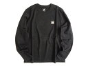 THE NORTH FACE U m[XtFCX Rbg100 OX[u TVc Jbg\[ NFK58751  90/S 04730407s07