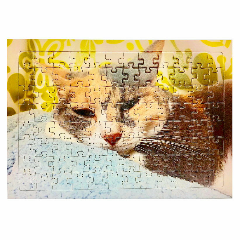 写真入り ジグソーパズル 96ピース オーダーメイド A4サイズ 名入れ メッセージ入り オリジナル 印刷 プリント グッズ 結婚式 敬老の日 父の日 母の日 ...