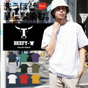 ヘインズ Hanes Tシャツ カットソー メンズ Tシャツ かっこいい かわいい 綿100 BEFFY ビーフィー ヘビーウエイト 丸首 おすすめ 人気 透けない よれない 半袖 ボックスtシャツ 無地 男性 プレゼント 誕生日 父 ギフト 記念日 レディース 定番 大きいサイズ