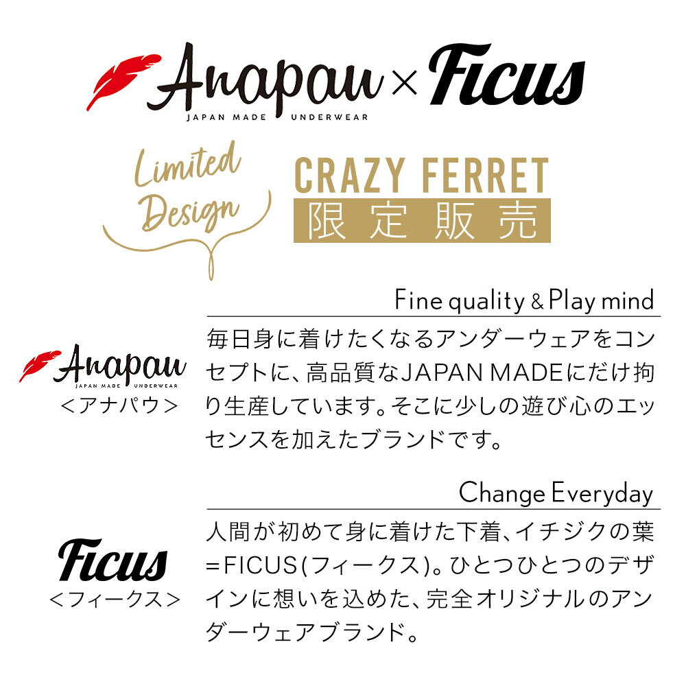 Anapau×FICUS アナパウ フィークス ボクサーパンツ メンズ ブランド 下着 アンダーウェア おしゃれ かわいい 日本製 コラボ 限定 フェレット アニマル 綿 男性 プレゼント プチギフト 誕生日 彼氏 父 ギフト 派手 実用的 50代 60代 定番 3