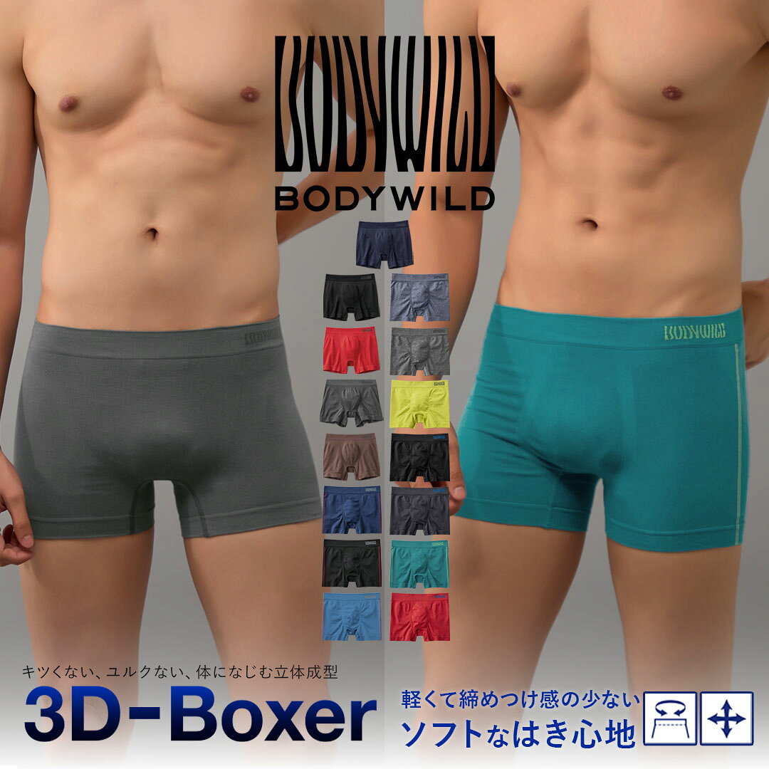 Gunze - GUNZE グンゼ ボクサーパンツ メンズ アンダーウェア 下着 おしゃれ かっこいい ツルツル ボディーワイルド メッシュ 蒸れない 立体成型 無地 ロゴ ワンポイント ブランド 男性 紳士 プレゼント プチギフト 誕生日プレゼント 彼氏 父 息子 ギフト 記念日
