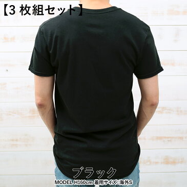 【3枚セット】Hanes/ヘインズ Tシャツ ブランド メンズ 半袖 Vネック ULTIMATE 3枚組 下着 無地 白 福袋 まとめ買い プチギフト ルームウェア 誕生日プレゼント 父 旦那 ギフト 記念日