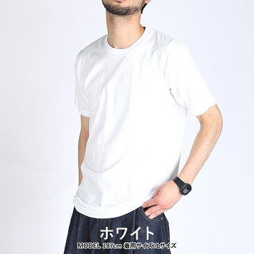 【3枚セット】Hanes/ヘインズ クルーネック 半袖 Tシャツ ブランド メンズ おしゃれ 無地 アオラベル かっこいい 綿 3枚組 男性 プチギフト ルームウェア 誕生日プレゼント バレンタイン 福袋 父 息子 ギフト 記念日