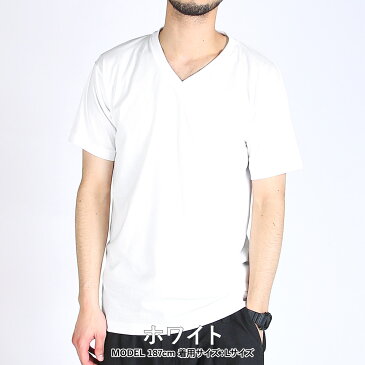 【3枚セット】Hanes/ヘインズ Vネック 半袖 Tシャツ ブランド メンズ おしゃれ 無地 アカラベル かっこいい 綿100 3枚組 男性 プチギフト ルームウェア 誕生日プレゼント バレンタイン 福袋 父 息子 ギフト 記念日