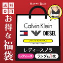 ブラ レディース アンダーウェア 下着 福袋 アウトレット 激安 訳あり ワケアリ ロゴ ワンポイント おすすめ 人気 ブランド 女性 婦人 プレゼント プチギ...