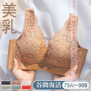 ブラジャー 胸を大きく見せる 谷間復活ブラジャー 補正ブラ 下着女性 背中綺麗 盛り 谷間 24時間美胸美背 ノンワイヤー ゼロ束縛 20代 30代 40代 ブ...