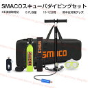 【全品P10倍12/4-12/11】ミニスキューバダイビング 酸素ボンベ SMACO S500 C 0.7L容量 10-12分間 正規品 空気タンク ダイビング機器 シュノーケリング 水中呼吸 高圧貯蔵タンク マリンスポーツ 小型スキューバダイビング ポンプ 変換装置 バッグ セット