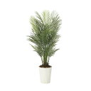 アレカパーム1.7(ポリ製) 2006M450 W70×D70×H170cm【2024年版 人工観葉植物 光の楽園 造花 フェイク リビング 玄関 アートフラワ...