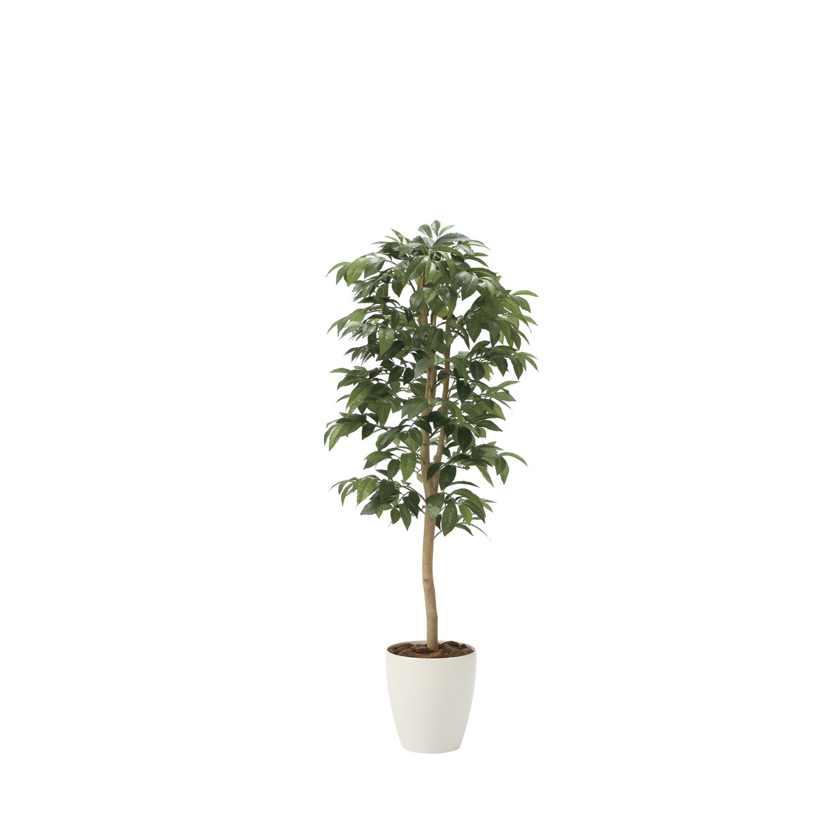 アルデシア(万両)1.3 2033A200 W50×D50×H130cm【2024年版 人工観葉植物 光の楽園 造花 フェイク リビング 玄関 アートフラワー インテリアグリーン】