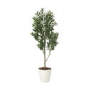 オリーブツリー 1.65 2096A400 W65×D60×H165cm【2024年版 人工観葉植物 光の楽園 造花 フェイク リビング 玄関 アートフラワー ...