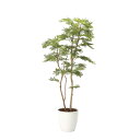 ねむの木1.8(ポリ製) 2106A460 W75×D60×H180cm【2024年版 人工観葉植物 光の楽園 造花 フェイク リビング 玄関 アートフラワー インテリアグリーン】
