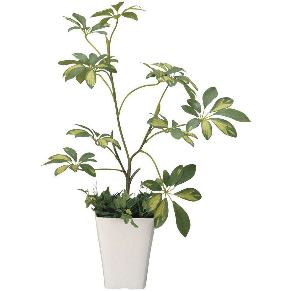 シェフレラ 212A80 W43×D43×H68cm【2024年版 人工観葉植物 光の楽園 造花 フェイク リビング 玄関 アートフラワー インテリアグリーン】