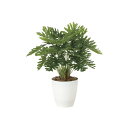 フレッシュクッカバラM 2215A75 W40×D40×H45cm【2024年版 人工観葉植物 光の楽園 造花 フェイク リビング 玄関 アートフラワー インテリアグリーン】