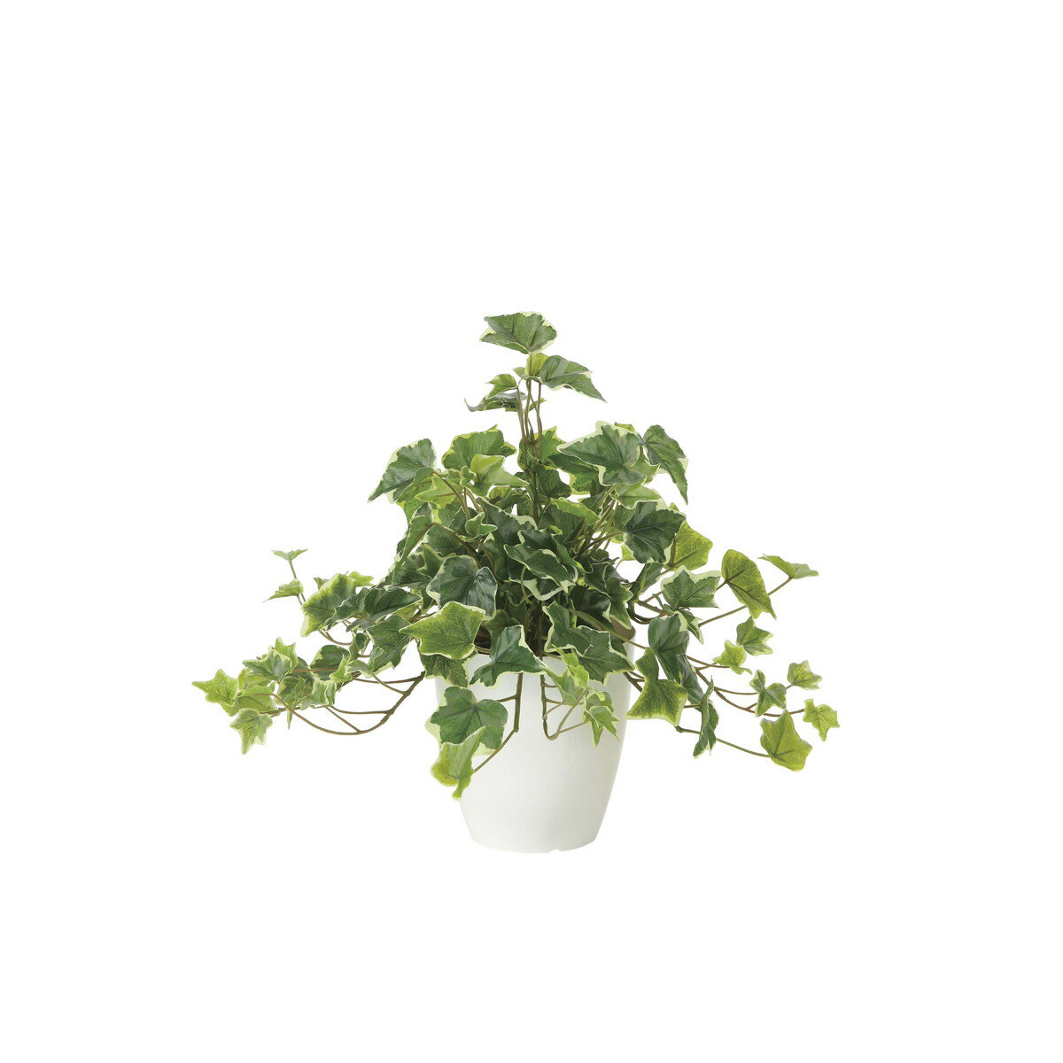 フレッシュ斑入りアイビー 2253A50 W45×D45×H36cm【2024年版 人工観葉植物 光の楽園 造花 フェイク リビング 玄関 アートフラワー インテリアグリーン】