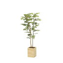 ウッドボックスマウンテンアッシュ1.6 2311A550 W70×D65×H160cm【2024年版 人工観葉植物 光の楽園 造花 フェイク リビング 玄関 ア...