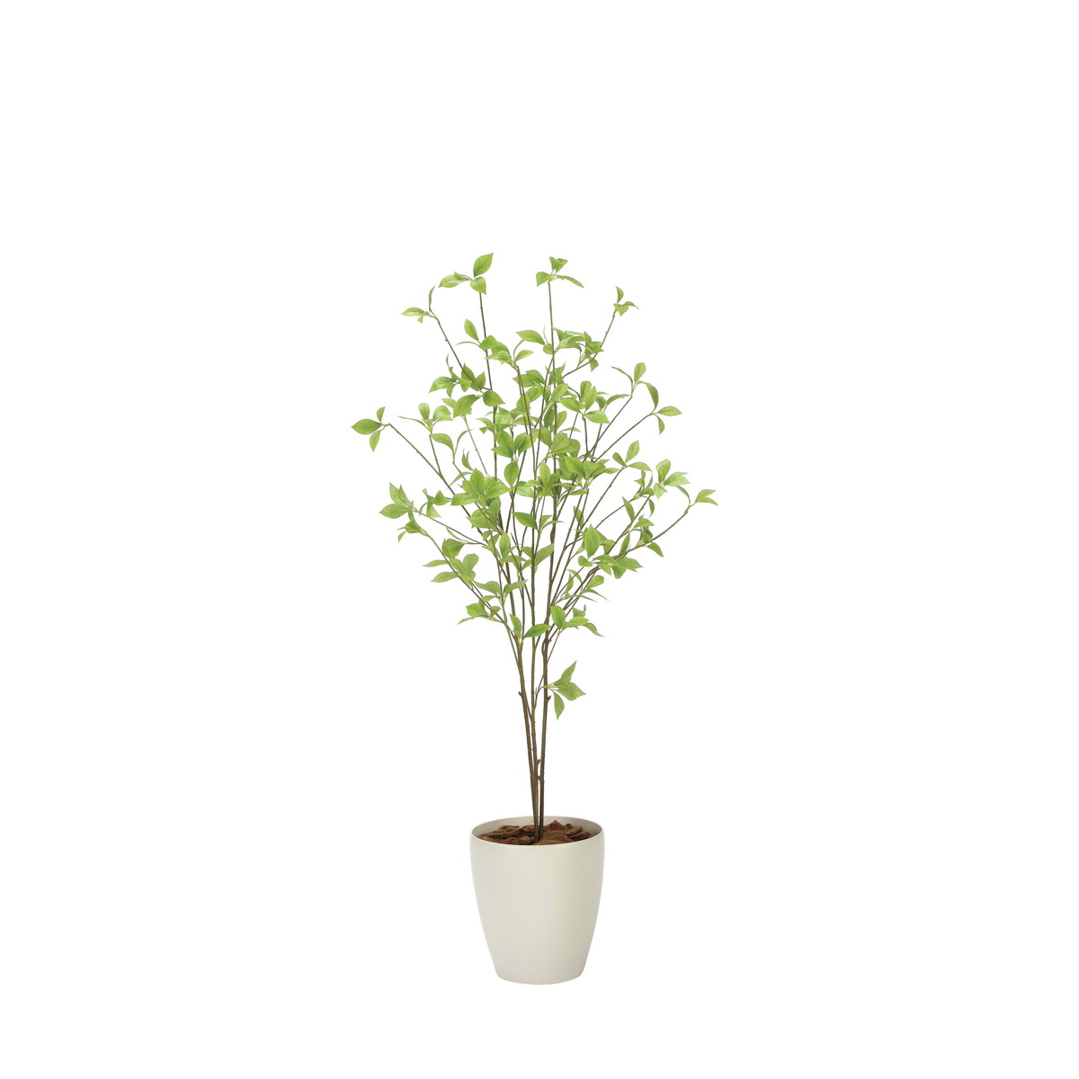 クロモジ1.2 2324A200 W50×D50×H120cm【2024年版 人工観葉植物 光の楽園 造花 フェイク リビング 玄関 アートフラワー インテリアグリーン】